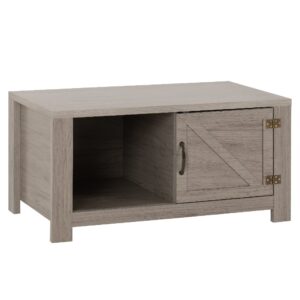 Zino Wooden Coffee Table With 1 Door In Grey